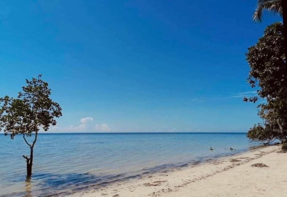 Bed & Breakfast Summer Days Puerto Princesa
